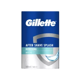 Gillette Arctic Ice