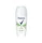 Rexona Aloe vera golyós deo