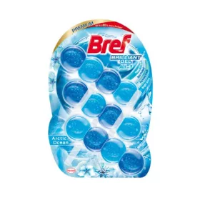 Bref Brilliant Arctic Ocean